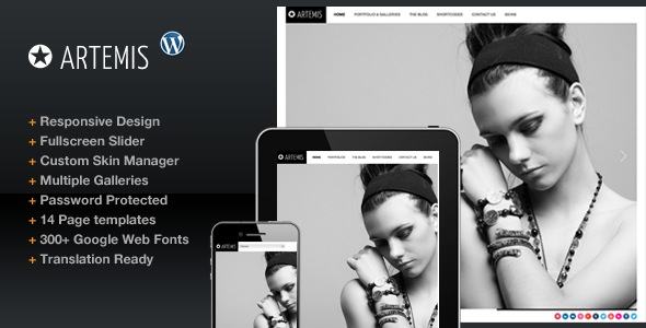 Artemis Photography Gallery Portfolio Theme WordPress Creative