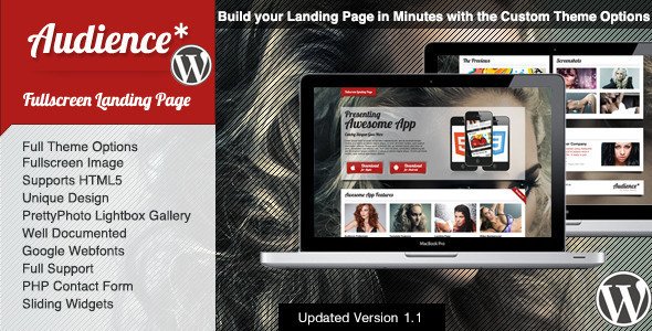 Audience Wordpress Fullscreen Landing Page Creative