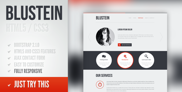 Blustein - responsive HTML5 portfolio template Creative
