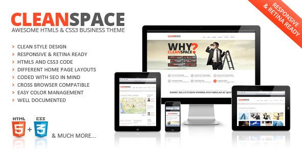 CleanSpace Retina Ready Web Template Corporate