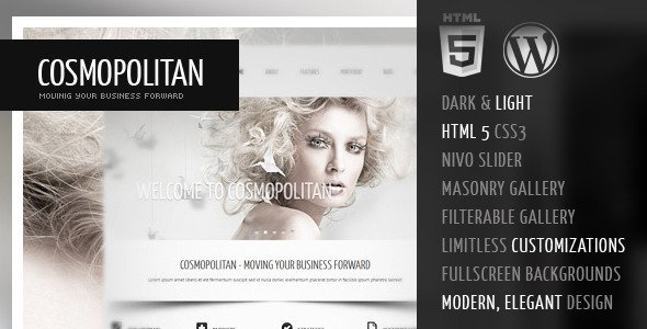 Cosmopolitan - Business WordPress HTML 5 Theme Corporate
