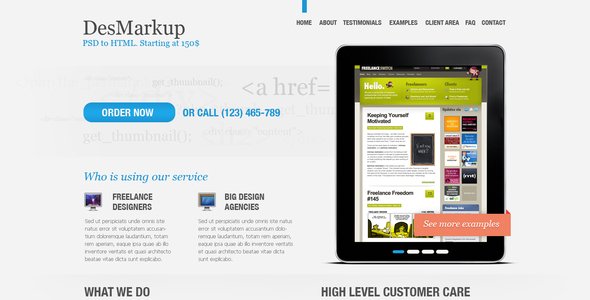 Developer PSD Template Corporate PSDTemplates