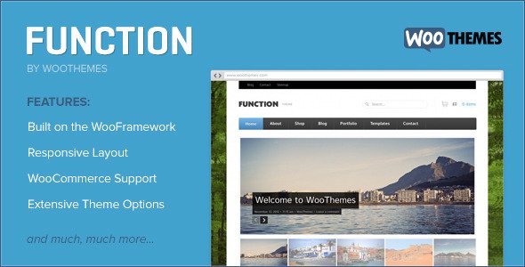 Function WordPress Corporate