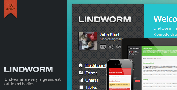 Lindworm Responsive Admin Template AdminTemplates