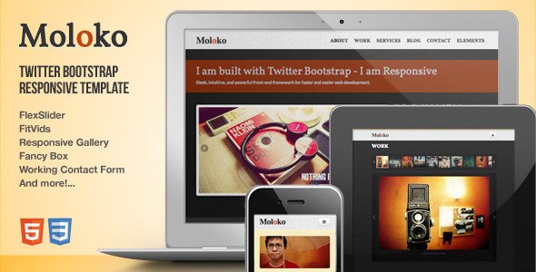 Moloko - Responsive One Page Html5 Template Creative