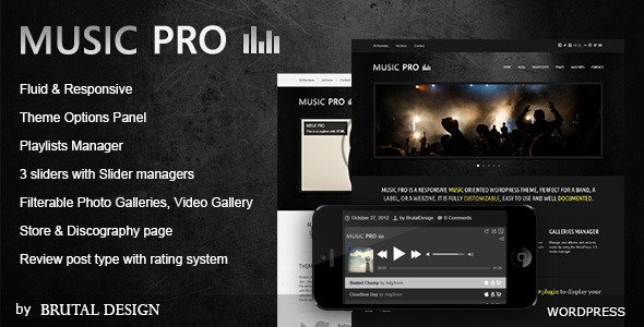 Music Pro - Music Oriented WordPress Theme Creative