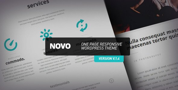 Novo - One Page Responsive Wordpress Theme Creative