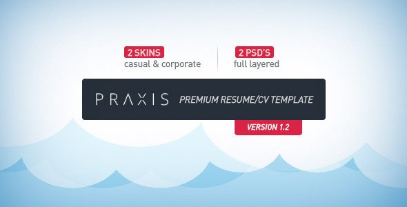 Praxis - Premium Resume/CV Template Specialty Page