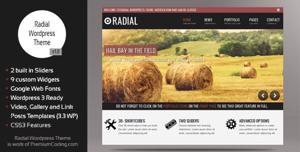 Radial - Creative Blog & Portfolio Wordpress Theme Blog/Magazine