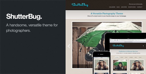 ShutterBug: Responsive Photography WordPress Theme Creative
