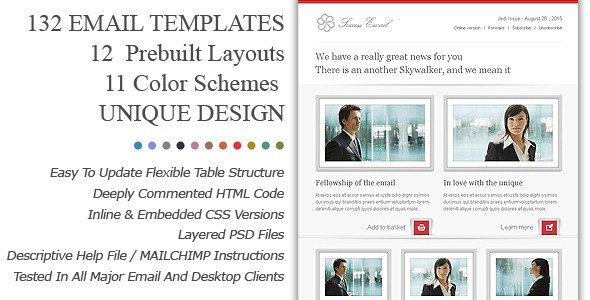 Success Premium Email Newsletter Templates