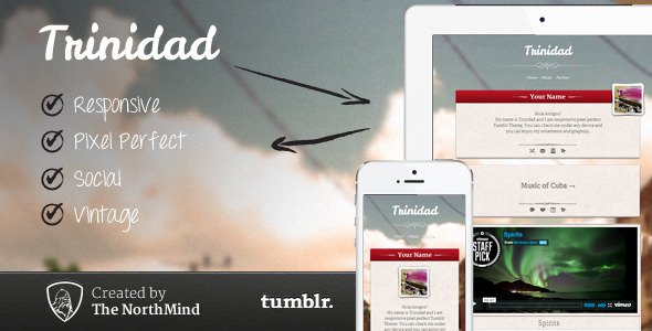 Trinidad Responsive Theme Tumblr Blogging