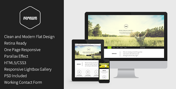 Vernum - Responsive One Page Parallax Template Creative