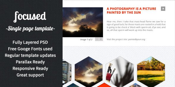 focused - OnePage MultiPurpose PSD Template