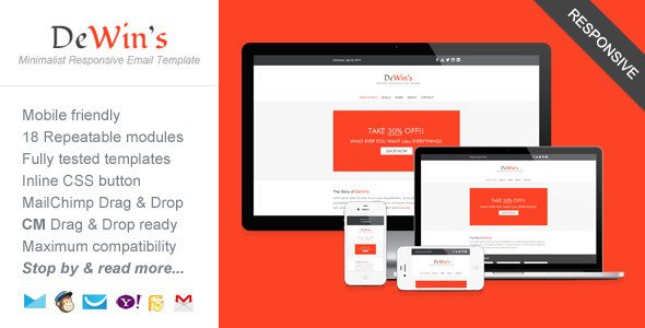 Professional Responsive Email Template - DeWin's