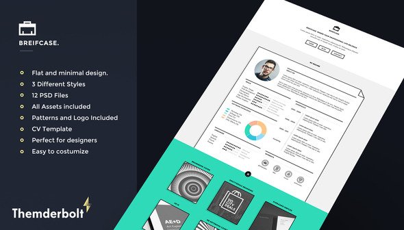Briefcase PSD. Flat Portfolio for Designers 3 in 1