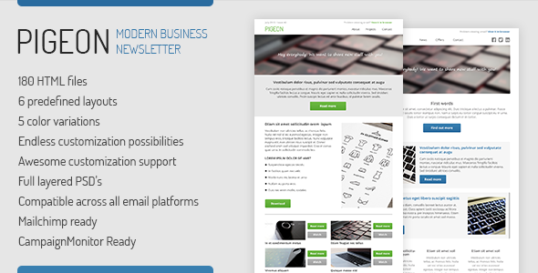 PIGEON - Business Email Template