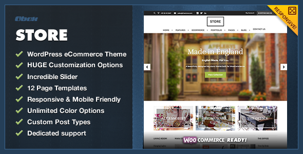 Store - eCommerce WordPress Theme