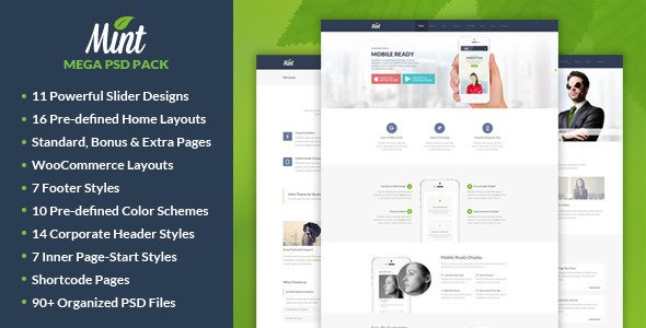 Mint - Mega PSD Pack
PSDTemplates
