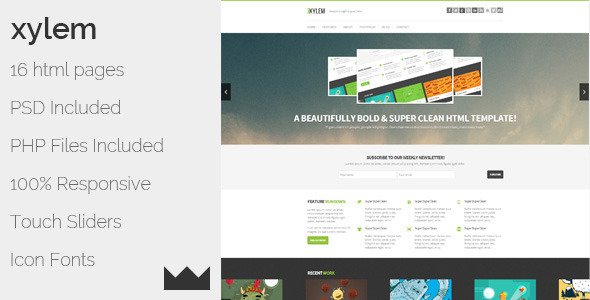 Xylem - HTML
SiteTemplates
