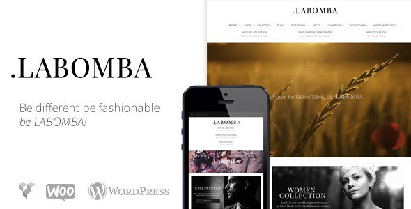 Labomba - Responsive Multipurpose Wordpress Theme
 FXTheme