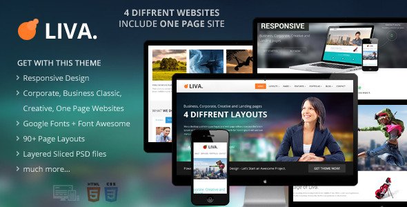 Liva - Responsive MultiPurpose HTML5 Template