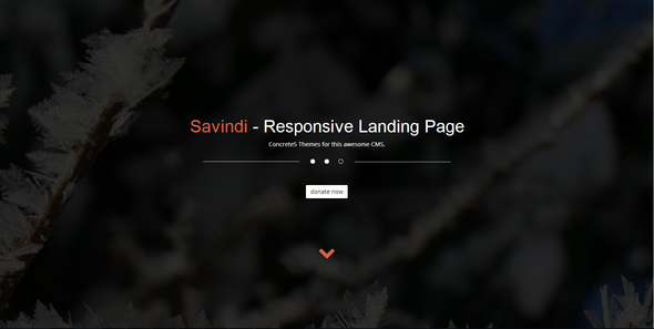 Savindi - Responsive Landing Page
 FXTheme
