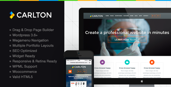 Carlton - A Powerful Multipurpose Wordpress Theme
 FXTheme