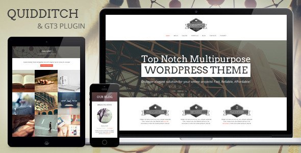 Quidditch - One Page WordPress Theme
 FXTheme
