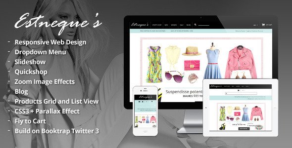 Responsive HTML Theme - Estneque
 FXTheme