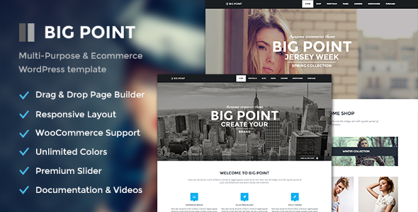 Big Point - Multi-Purpose & Ecommerce Theme
 FXTheme