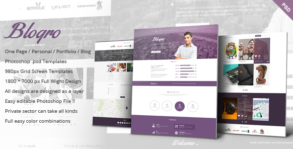 Blogro - One page Personal web design
 FXTheme