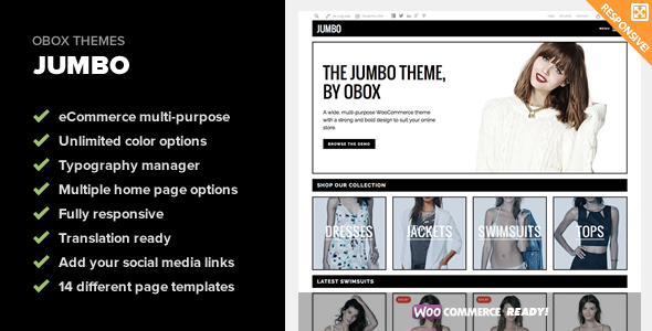 Jumbo - Multi-Purpose WooCommerce Theme
 FXTheme