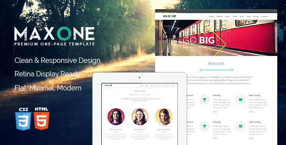 Maxone - Responsive One Page Template
 FXTheme