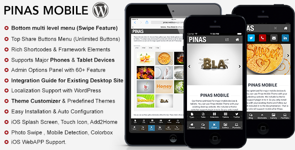 Pinas Premium Mobile Theme
 FXThemeWordPress