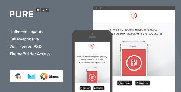 Pure - Responsive Email + Themebuilder Access
 FXTheme
