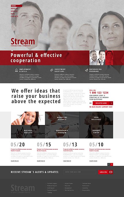 White & Grey Consulting WordPress Theme by Glenn TMT