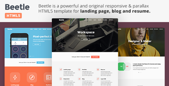 Beetle HTML - Responsive HTML5 Template
 FXTheme