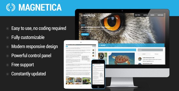 Magnetica | WordPress Magazine and Blog Theme
 FXTheme