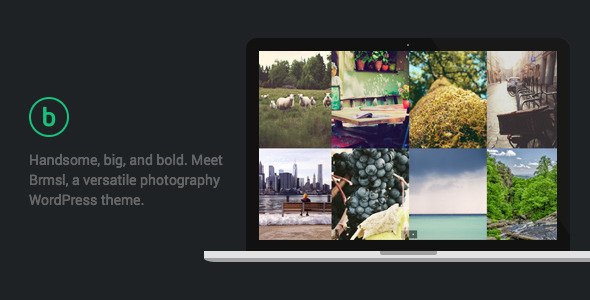 Brmsl - Versatile Photography WordPress Theme
 FXTheme