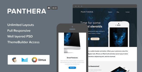 Panthera - Responsive Email + Themebuilder Access
 FXTheme