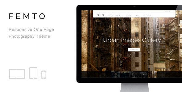 Femto - Responsive One Page Photography Theme
 TFx