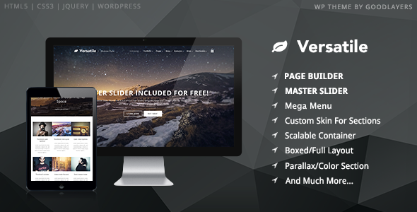 Versatile - Responsive Multi-Purpose WP Theme
 TFx