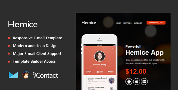 Hemice - Responsive Email + Themebuilder Access
 TFx