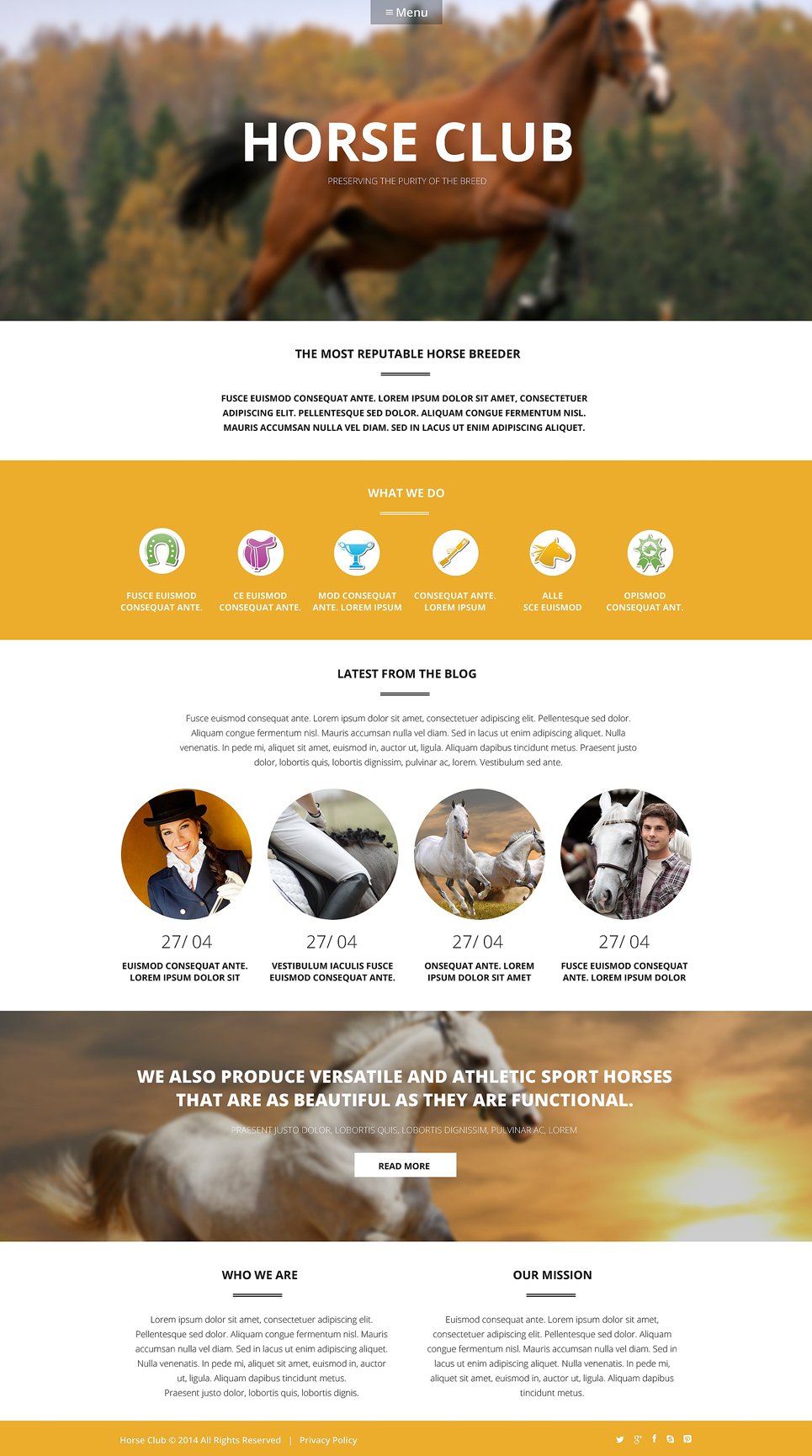 Luxury Horse Breed Care WordPress Theme TMT