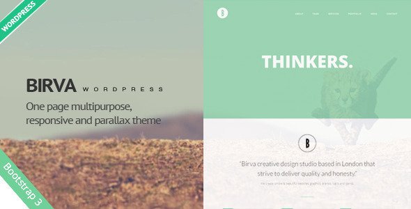 Birva - Creative One Page Wordpress Theme
 TFx