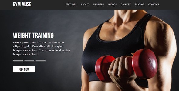 Gym Responsive Muse Template
 TFx