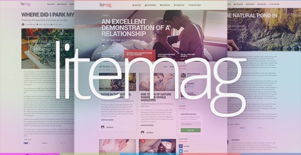 LiteMag - Easy to use Minimalist Magazine Theme
 TFx