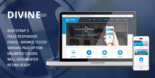 Divine - Professional Business WordPress Theme 
 TFx