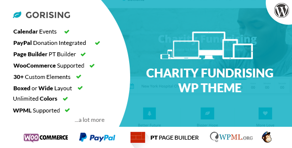 GoRising - Charity Non-Profit Fundrising WP Theme
 TFx